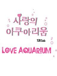 Love Aquarium